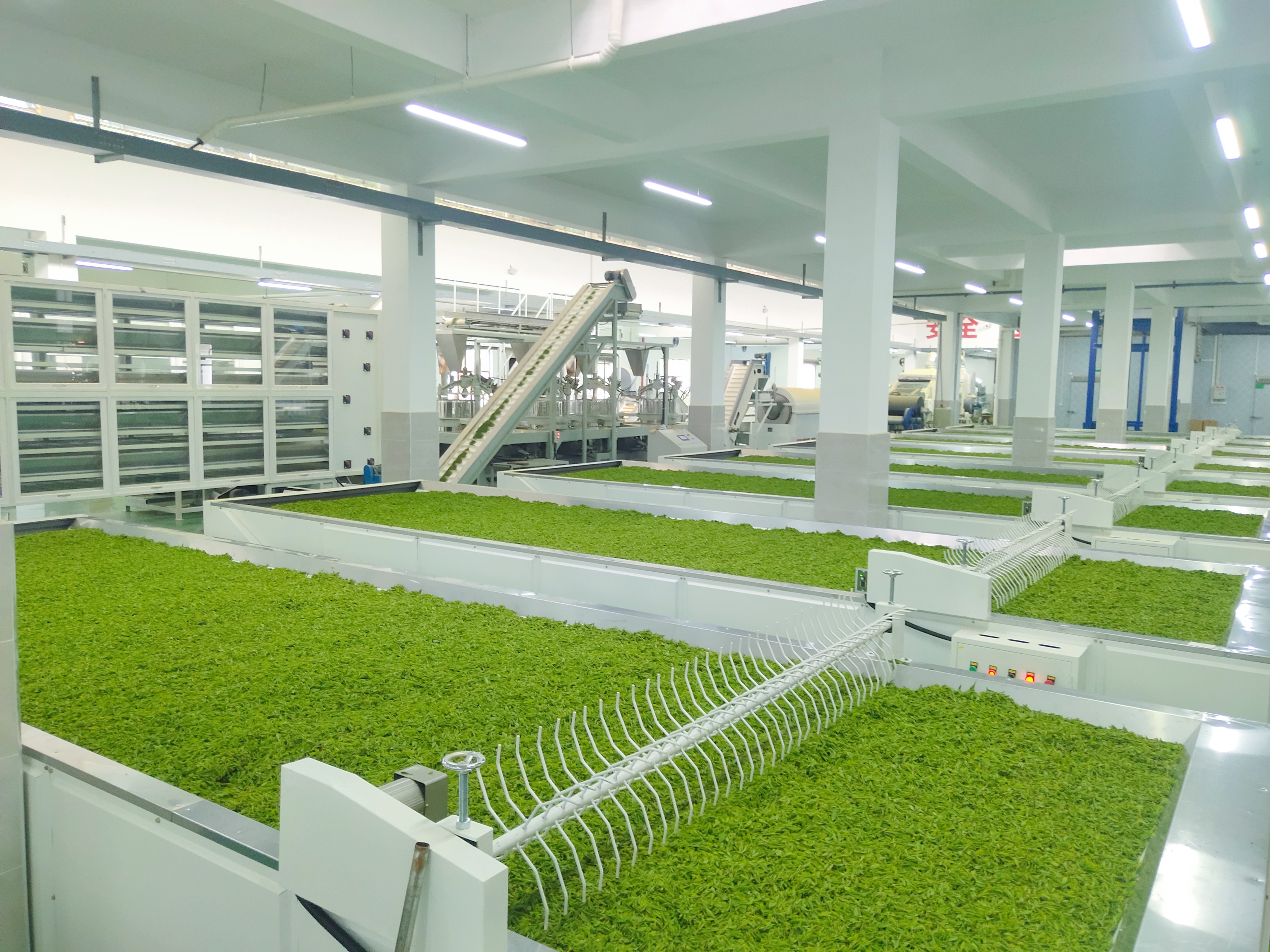 1761536013027.png 1761536013027.png